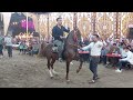 انتكة الدهراوي و المعلم محمد هشام رقص خيل 2022 حفلة الرفاعية بلقاس انتكة الدهراوي و المعلم محمد هشام رقص خيل 2022 حفلة الرفاعية بلقاس