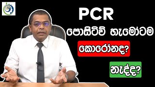 PCR පරීක්ෂණය සොයාගත්ත කෙනාට වෙච්ච දේ  | What Happened to The Person Who Discovered The PCR Test.