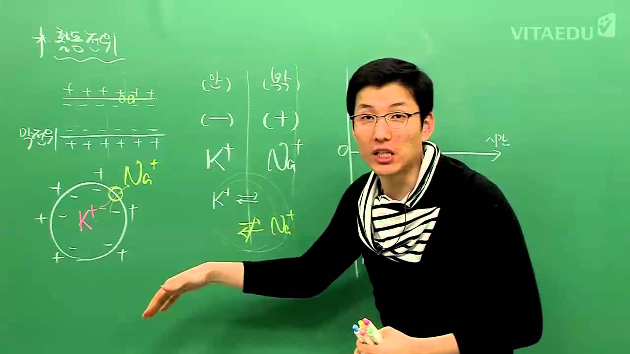 생명과학인강 : 신경세포와 활동전위편