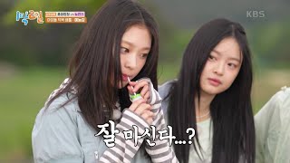 복불복은 이렇게 하는 거란다! 뉴진스도 당황한 예능의 세계💥 [1박 2일 시즌4/Two Days and One Night 4] | KBS 240609 방송