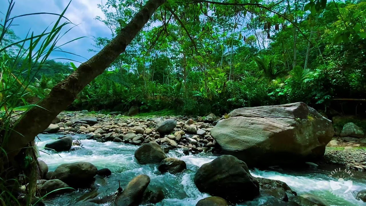 Night River Sounds for Insomnia Relief | Calm Flowing Water Stream Ambience