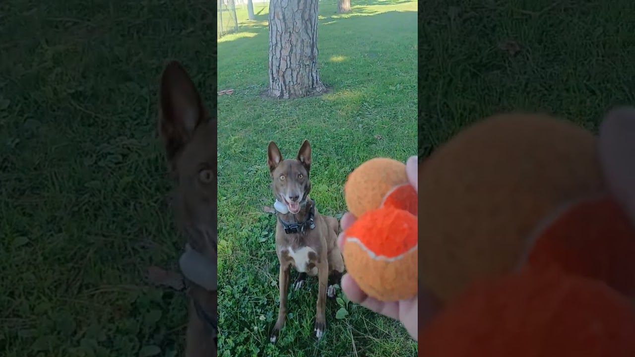 Rains did the Park good...(Mary Jane & Miss Dinky)