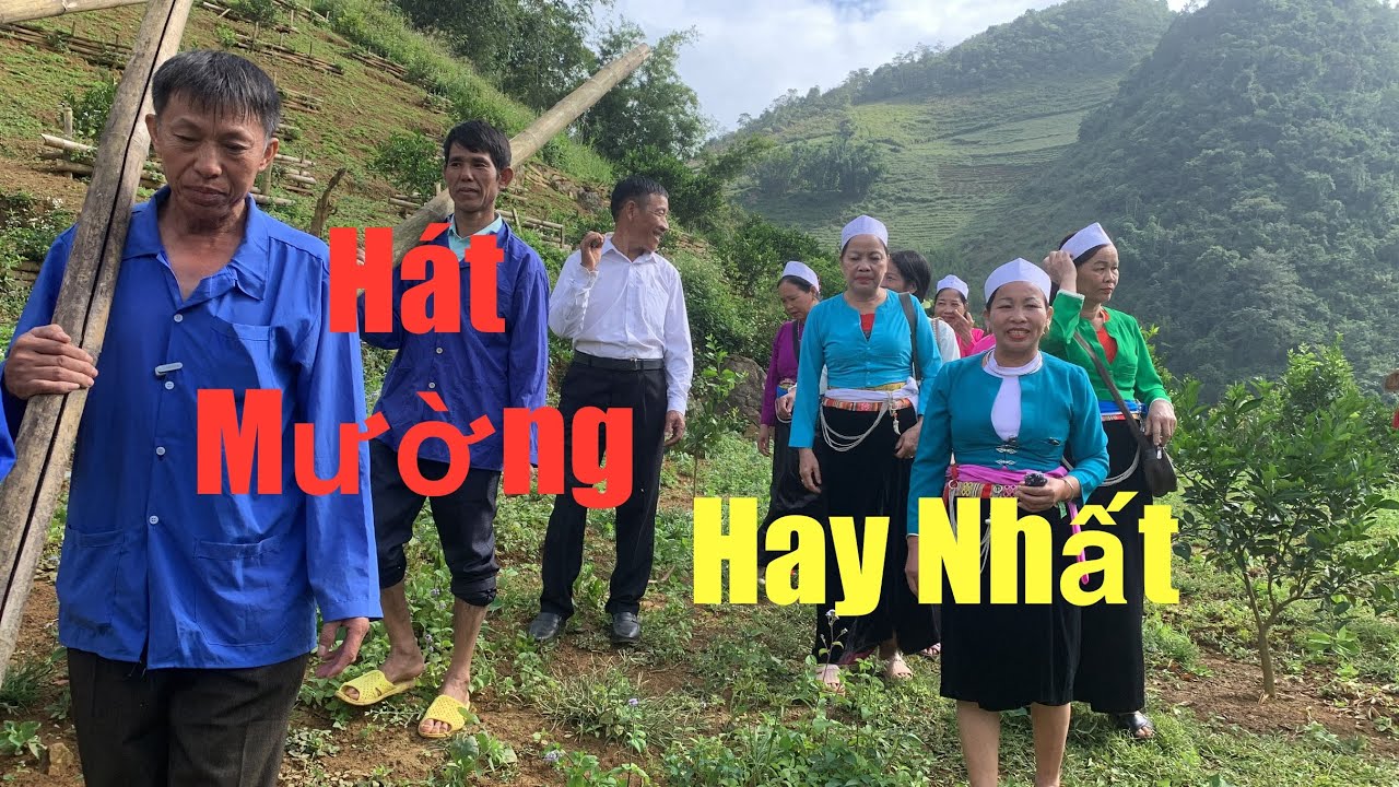 Hát Mường | Anh Đi Củi Em Đi Làm Cỏ Gặp Nhau | Hát Mường Mường Chậm