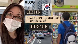 : VLOG:       ,      