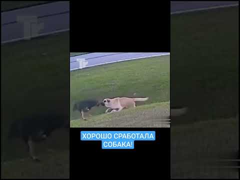 Защита ребёнка от