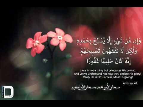 إن هذا القرآن يهدي للتي هي أقوم للشيخ إدريس أبكر محب السلف
