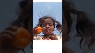 jhut boltahey madarshut #india #bangladesh #pakistan #uae #chorki #borka #bollywood #tallywithgst