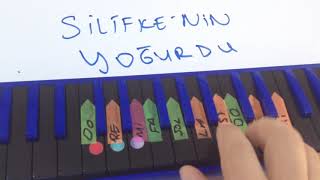 Ğurdu İka İle Si̇li̇fkeni̇n Yoğurdu