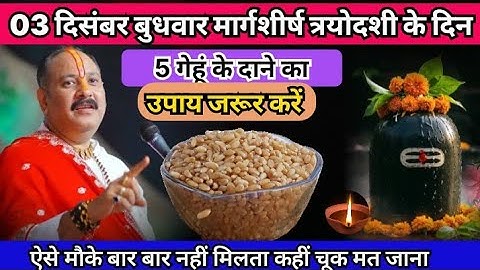 03 दिसंबर मार्गशीर्ष बुधवार त्रयोदशी के दिन 5 गेंहू के दाने वाला उपाय जरुर करे , Pradeep Ji Mishra 