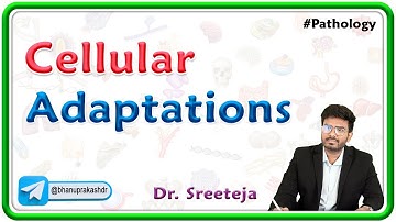 6. Cellular Adaptations : Atrophy, Hypertrophy, Hyperplasia, Metaplasia, Dysplasia / USMLE Step 1