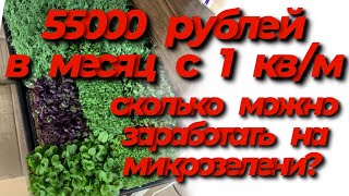 Сколько можно заработать на микрозелени! Расчёт себестоимости микрозелени!бизнес на микрозелени!