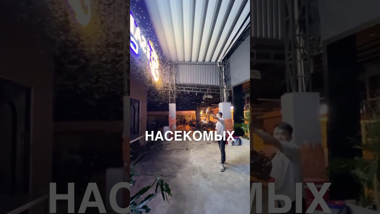 Куча букашек 😲 #истории #история #новости #новость #shorts