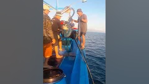 Thả Lưới Kéo Cá Liên Tục /Minh Biển Vlogs