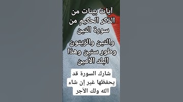 آيات بينات من الذكر الحكيم #duet #اكسبلور #صبرو #explore #quran #لايك #في#ترند #دويتو #القرآن_الكريم