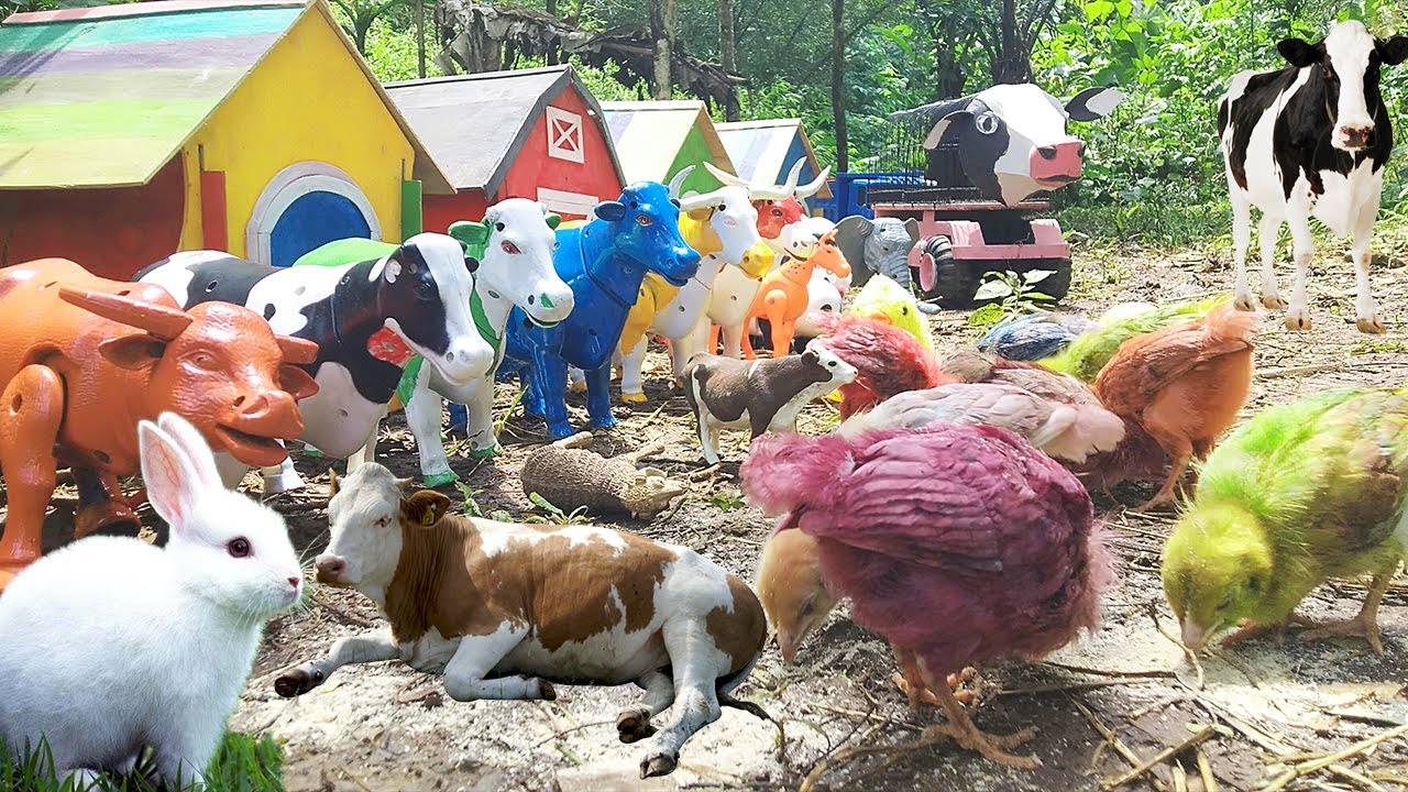 Truk Sapi Oleng Angkut Ayam Warna Warni Sapi Moo Lucu Kelinci Panda ...