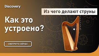 А вы знаете из чего делают струны? | Как это сделано? | Discovery Channel