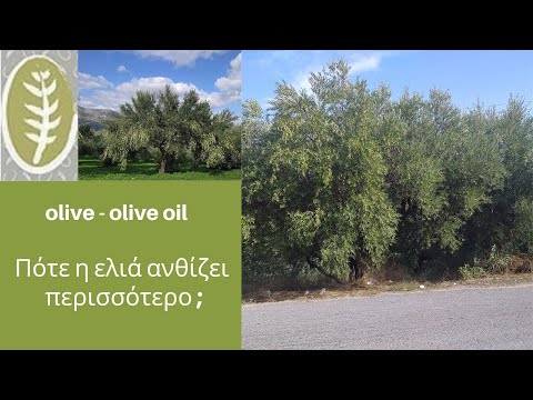 Βίντεο: Πότε ανθίζει ο πανδανός;