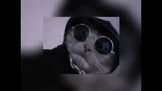 maher zain - for the rest of my life [ speed up tiktok ]