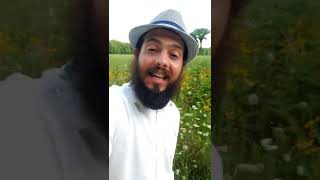 Video thumbnail of "Ari Lesser - Elul - The King Is In The Field"