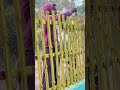 My First Vlog #vlog #minivlog #naturevlog #myfirstvlog