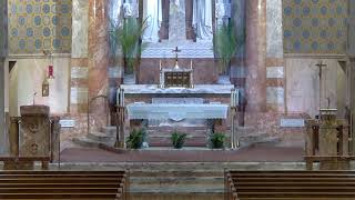 St. Paul the Cross Live Stream