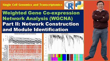 Weighted Gene Co-expression Network Analysis (WGCNA)—Part II: Network and Module Identification