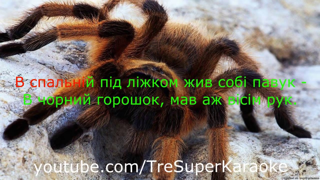 Скавчання про мовчання - Цензор.НЕТ 5724