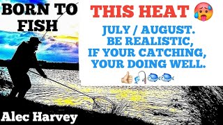 FLY FISHING - Hot summer days, have realistic catch expectations.