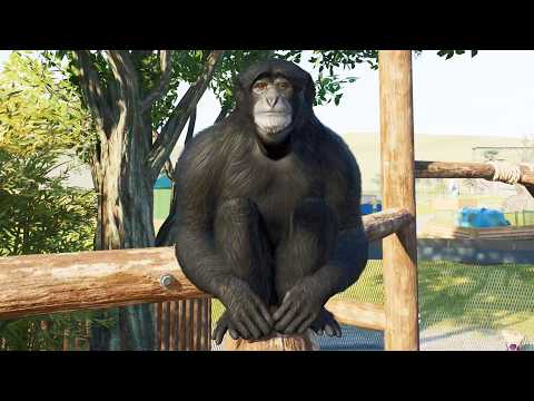 Planet Zoo 2 - Siamang Gameplay (PS5 UHD) [4K30FPS]