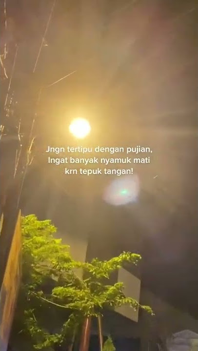 jangan tertipu dengan pujian ingat banyak nyamuk mati karna tepuk tangan! #cingpreset