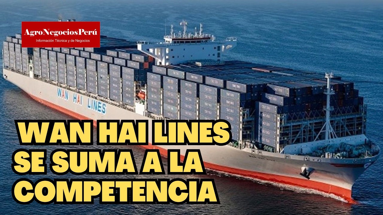 Naviera Wan Hai  refuerza su presencia y entra a competencia por la carga agroexportadora peruana