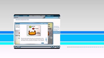 PLATO Learning Courses