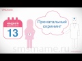 13 неделя беременности - пренатальный скрининг, что это такое, как проводят.