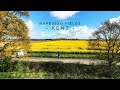 Rapeseed Fields of Kent | Silent Hiking | 4K