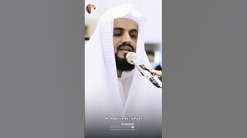 Friday status / رعد الكردي حالات واتس اب / سورة الكهف