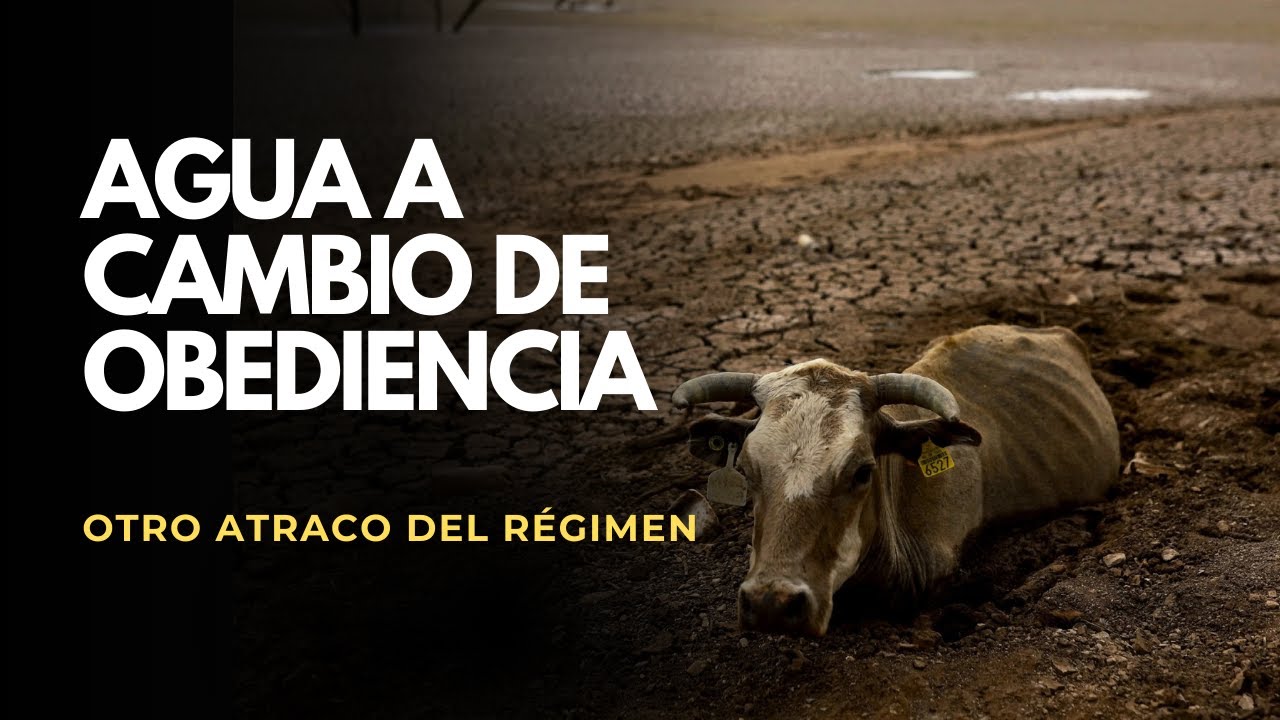 El régimen utilizará el agua para controlar a los productores del campo