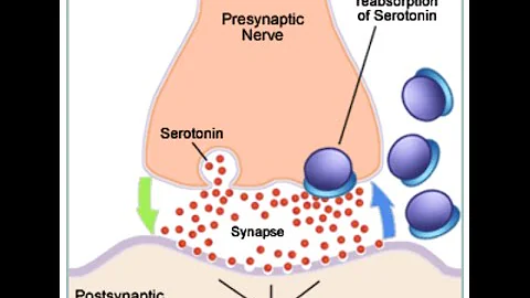 Selective Serotonin Reuptake Inhibitors