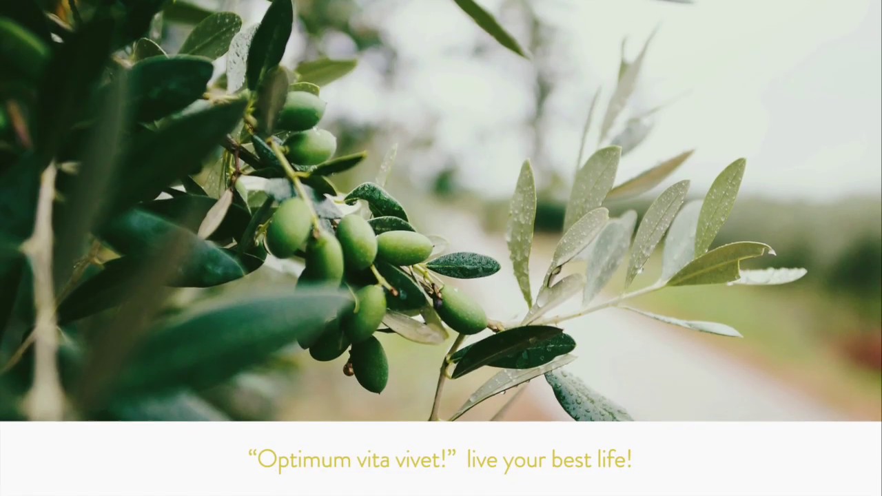 109 - Secret Ingredients - extra virgin olive oil - Wix Web Design