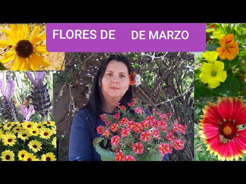 Video: Flores Anuales: Preocupaciones En Marzo
