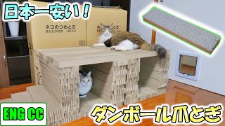 楽天で日本一安い猫の爪とぎを大量購入！コスパ最高で猫達も大喜びでした！【Eng CC】