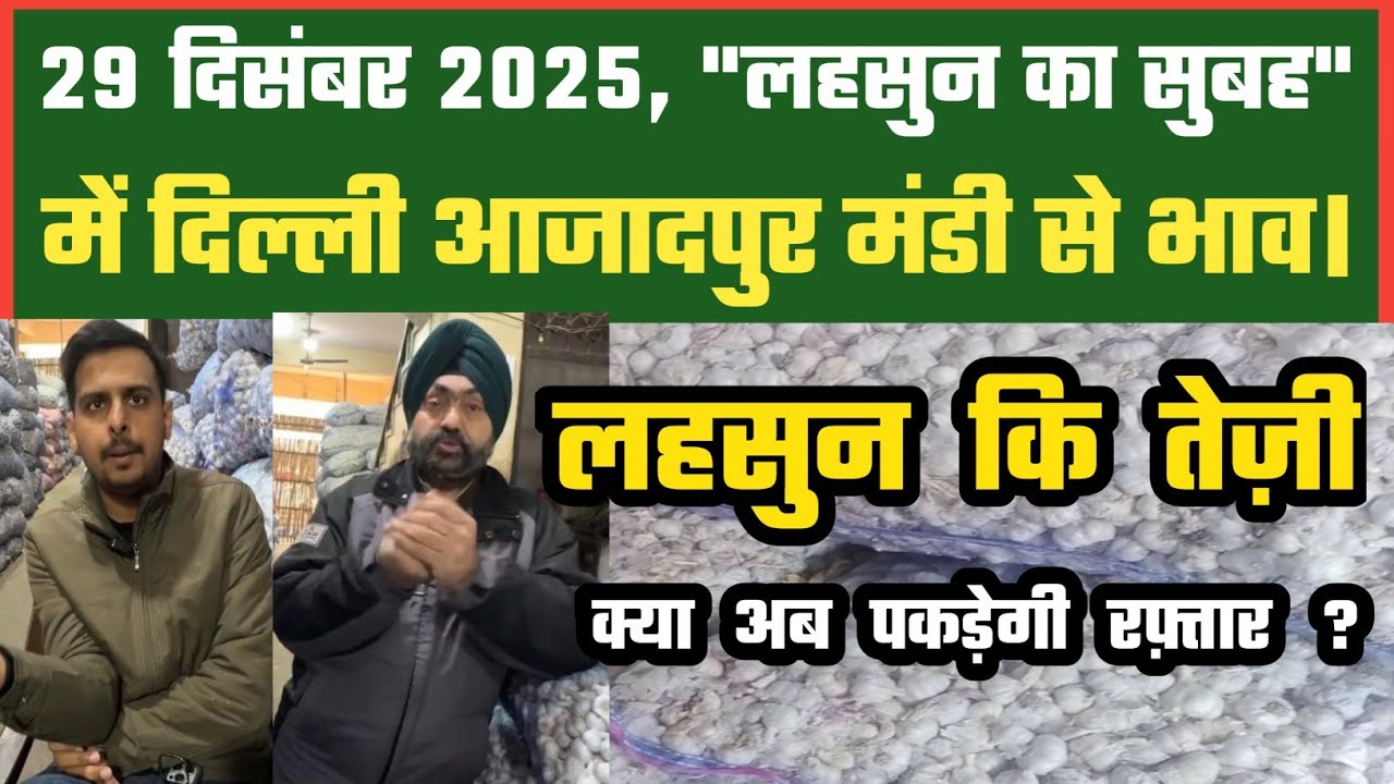 लहसुन में तेज़ी क्या नहीं रुकेगी Azadpur Delhi Mandi Today 29-12-2025 को बने ऐसे Garlic Price DMT TV
