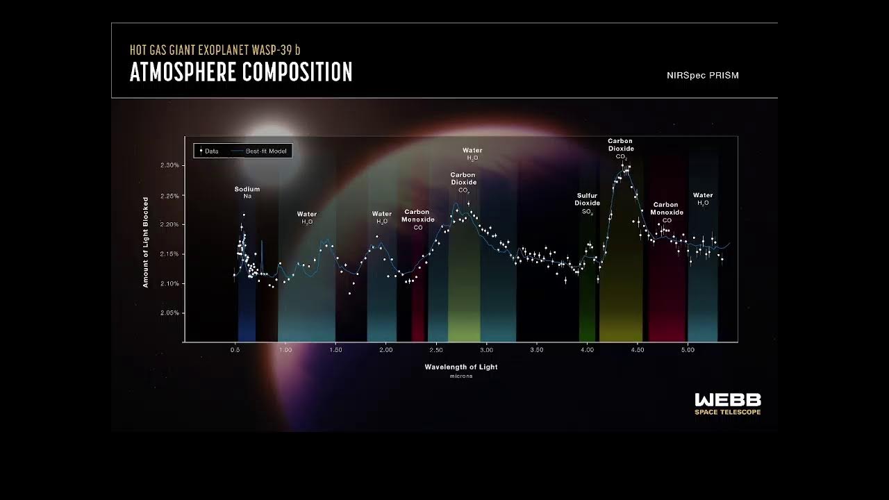 Little Green... Molecules: What the Chemistry of Space Can Tell us About Life in the Universe