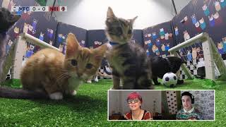 SEMI FINAL 1 ♦ Cal Wilson ♦ Catcam World Cup