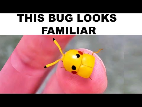 Cool Things You've