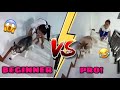 Teaching Our Husky Pack How To The Stairs | Natakot Sila! | Husky Pack TV