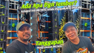 Whats Wrong With Jember Why Is Brewog Always Banned And Thwarted This Is The Response From T