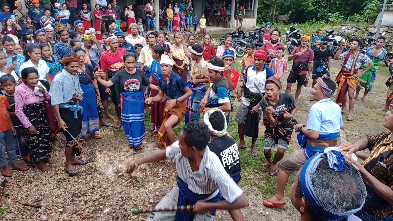 DETIK - DETIK MENDEBARKAN SAAT KABISU WELEWO TATAP MUKA DENGAN WONGA || ACARA PINDA ADAT KAWEDA TORO