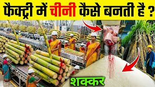 जानिए गन्ने से चीनी कैसे बनती है ? | How Sugar Made In Factory