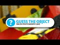 Can you guess the magnified objects? - Macro Photography Quiz