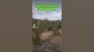 سورة  التين  تلاوةخاشعة فضيلة الشيخ فيصل غزاوي